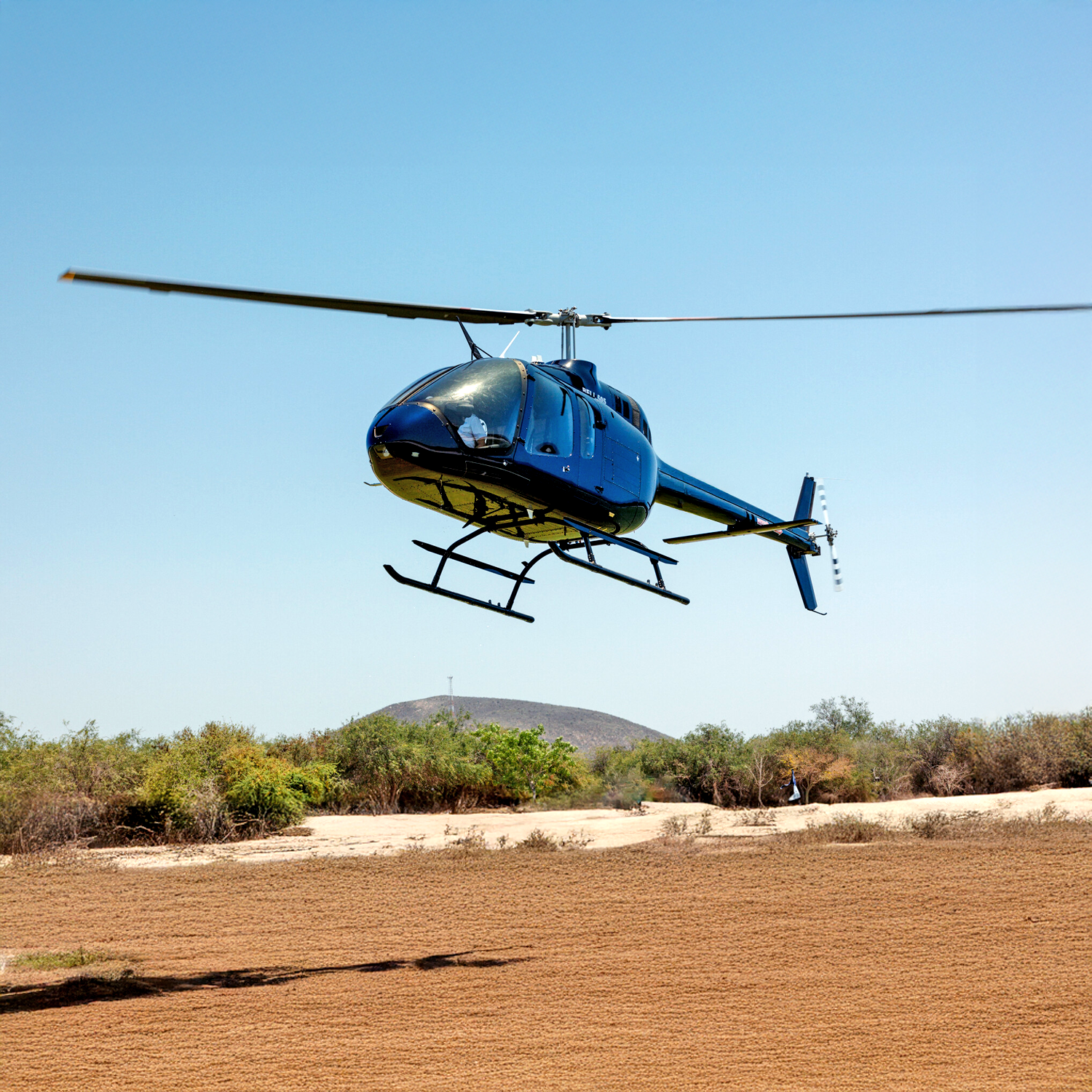 Helicopter Landing on Scenic Tour